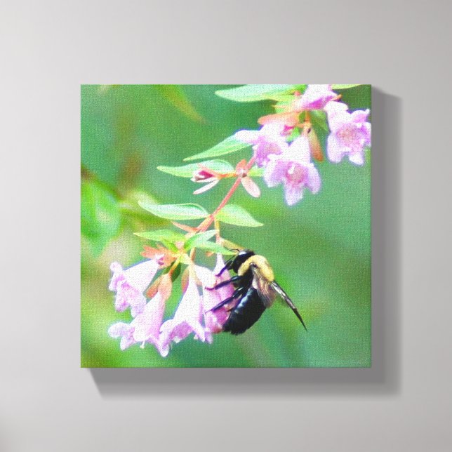 Abelia Bee Canvas Print (Front)