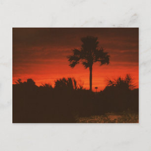 Abendstimmung, Senegal Postcard