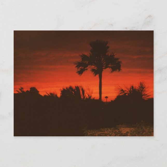 Abendstimmung, Senegal Postcard (Front)