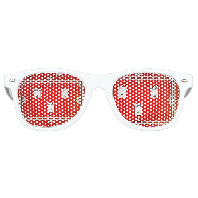 Aberdeen Retro Sunglasses (Front)