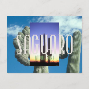 ABH Saguaro Postcard