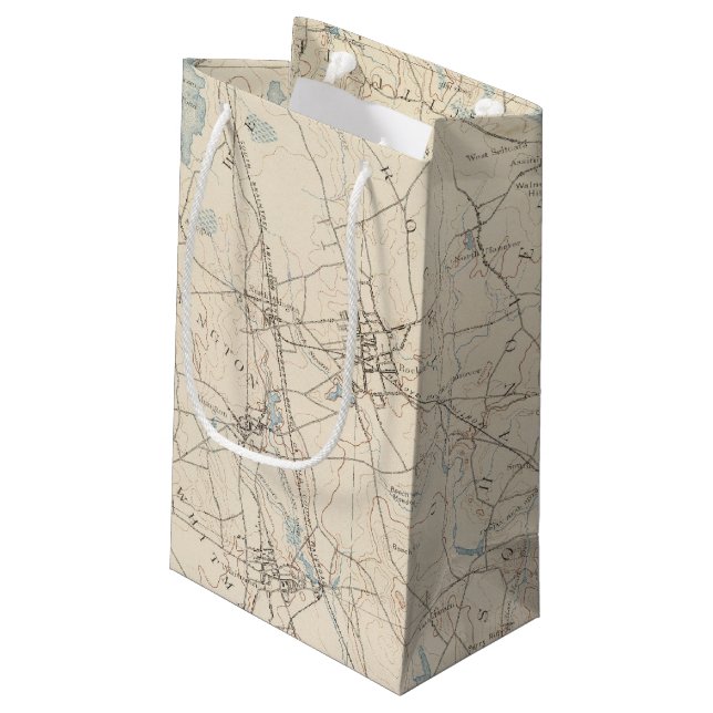 Abington, Massachusetts Small Gift Bag (Back Angled)