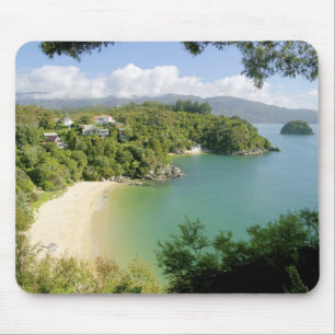 Able Tasman NP, Nelson, New Zealand. The many Mouse Mat