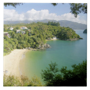 Able Tasman NP, Nelson, New Zealand. The many Tile