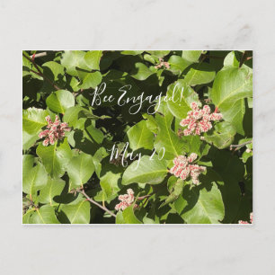 aBloomingCalifornia: Bee Engaged! Postcard