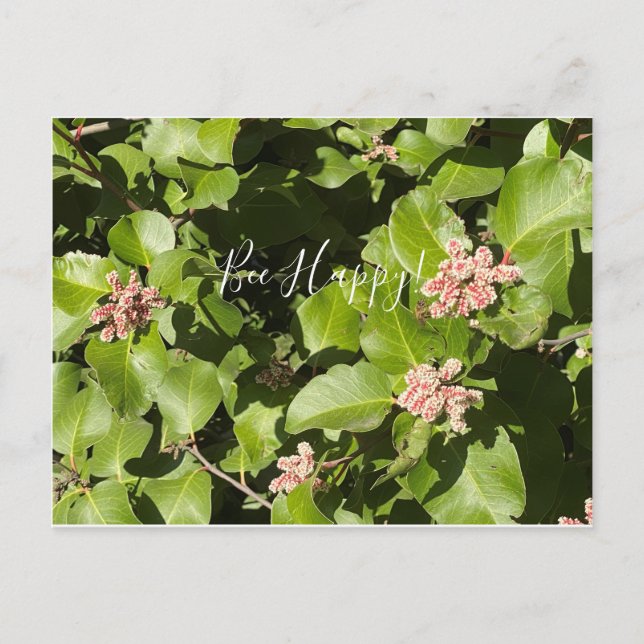 aBloomingCalifornia: Bee Happy! Postcard (Front)