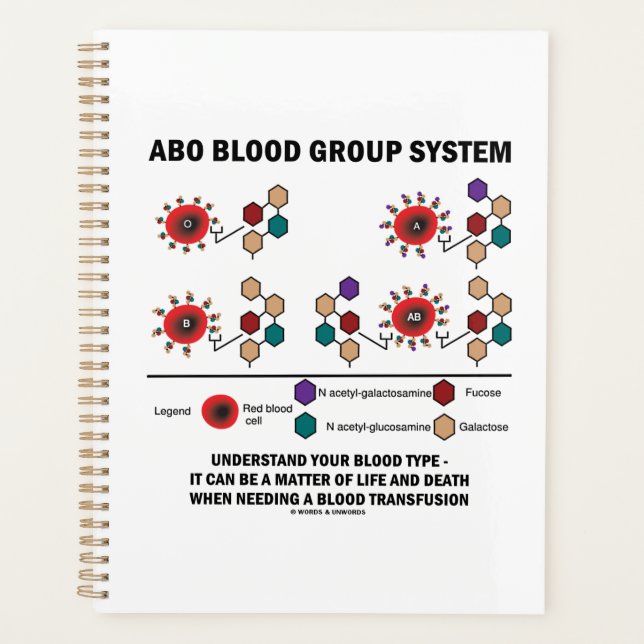 ABO Blood Group System Understand Blood Type Planner (Front)