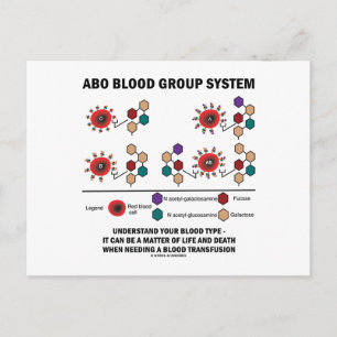 ABO Blood Group System Understand Blood Type Postcard