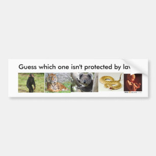 Abortion bumper sticker