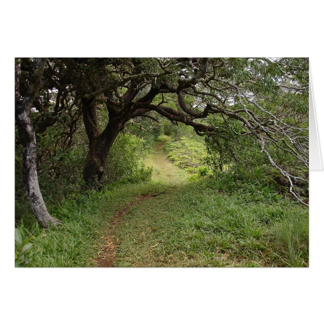 Above Manoa Valley (Front Horizontal)