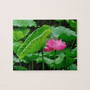 Above Muddy Waters (Pink Water Lily) Jigsaw Puzzle