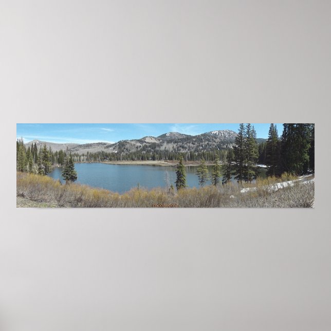 Above Silver Fork Lake print (Front)