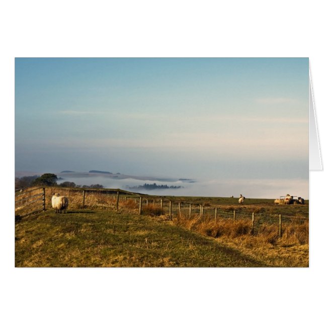 Above the clouds (Front Horizontal)