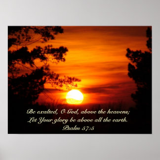 Above The Earth Sunset poster