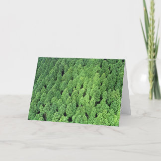 Above the Forest Card