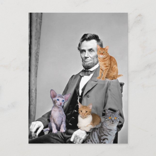 ABRAHAM LINCOLN CAT LOVER POSTCARDS (Front)