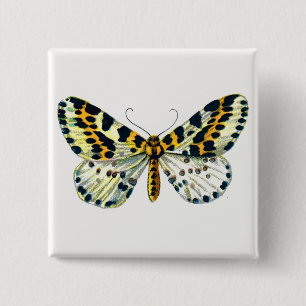 Abraxas grossulariata, The Magpie Moth Colour Imag 15 Cm Square Badge