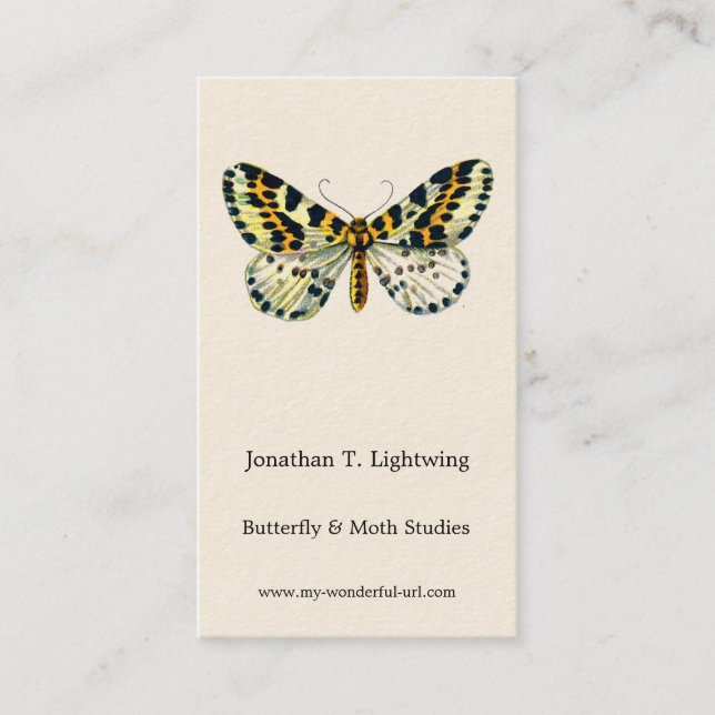 Abraxas grossulariata, The Magpie Moth Colour Imag Business Card (Front)