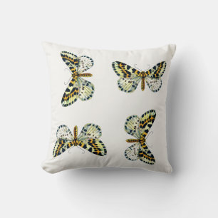 Abraxas grossulariata, The Magpie Moth Colour Imag Cushion