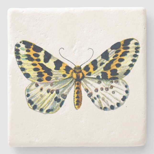 Abraxas grossulariata, The Magpie Moth Colour Imag Stone Coaster (Front)