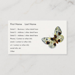 Abraxas sylvata - The Clouded Magpie Moth Business Card