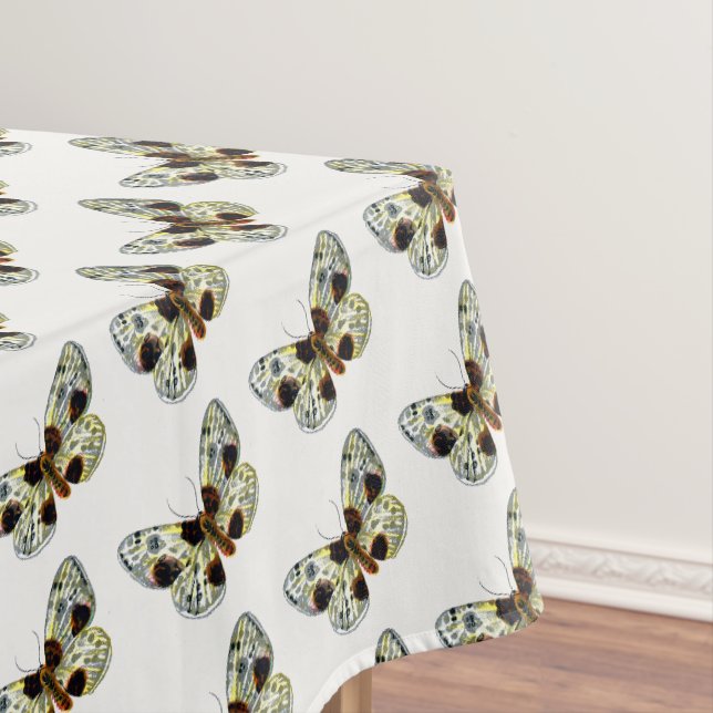 Abraxas sylvata - The Clouded Magpie Moth Tablecloth (In Situ)