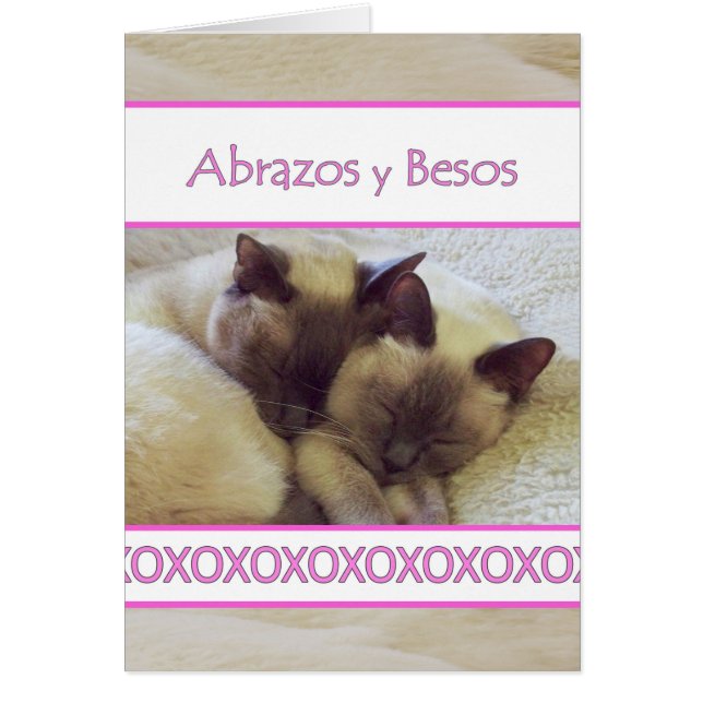 Abrazos y Besos, Hugs and Kisses in Spanish (Front)