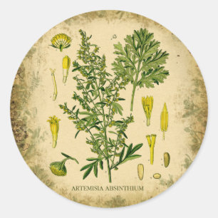 Absinthe Botanical Collage Classic Round Sticker