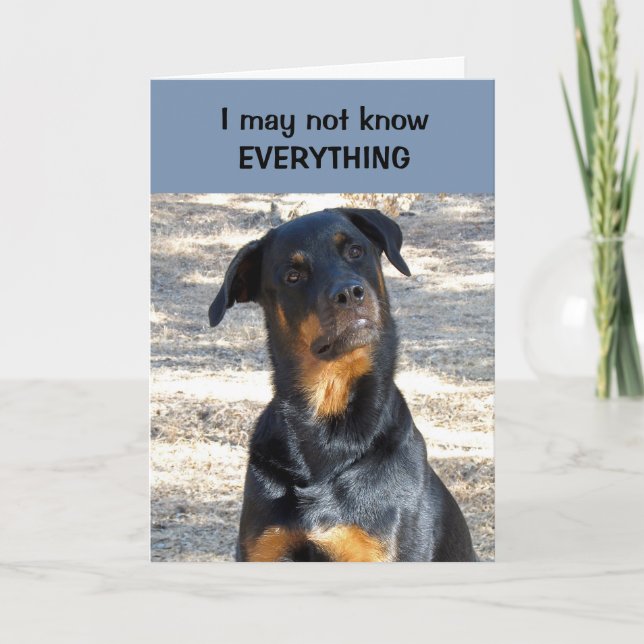 Absolutely Sure Rottweiler Valentine's Day Card (Front)