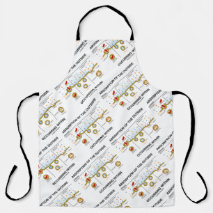 Absorption Of The Outside Occurring Within Apron