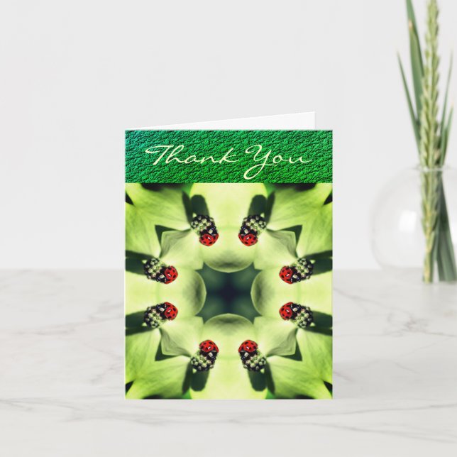 Abstract Art Ladybugs Thank You Card (Front)