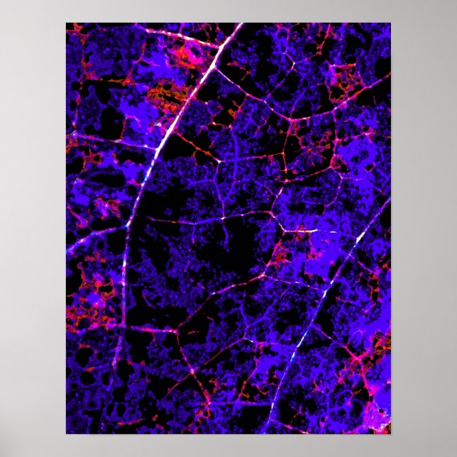 Abstract Art Posters (Front)