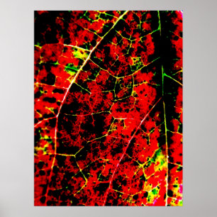 Abstract Art Prints