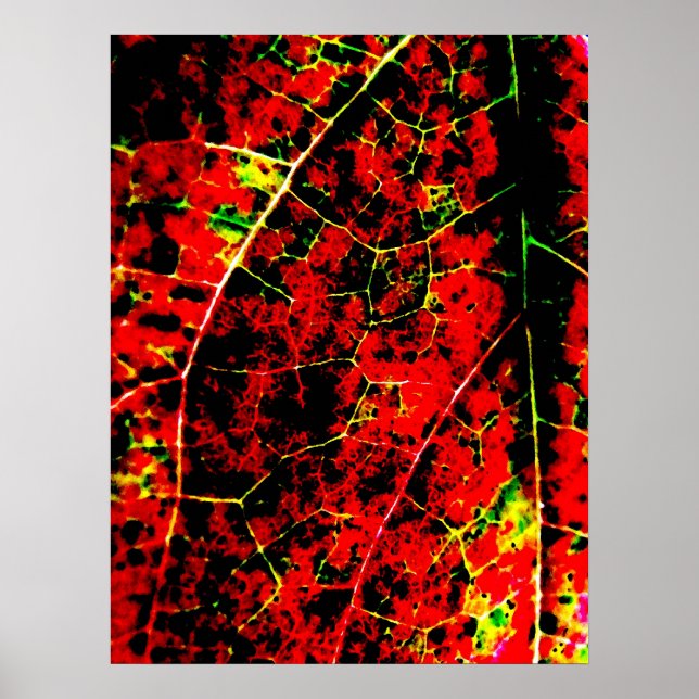 Abstract Art Prints (Front)