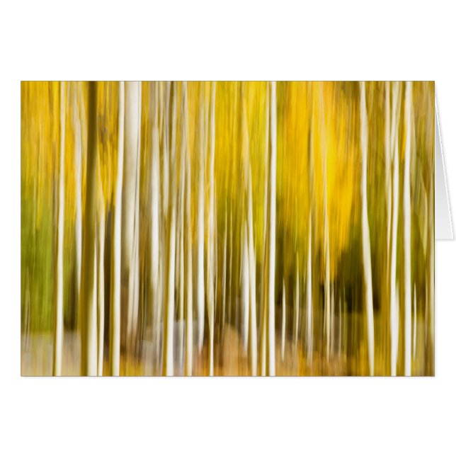 Abstract aspens (Front Horizontal)