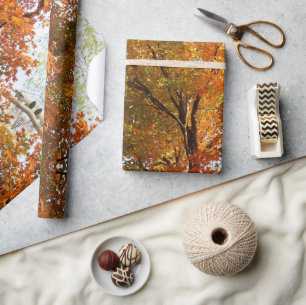 Abstract Autumn Season Maple Tree Craft or  Wrapping Paper