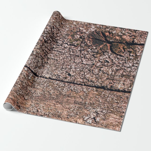 abstract background from old wood texture closeupa wrapping paper (Unrolled)