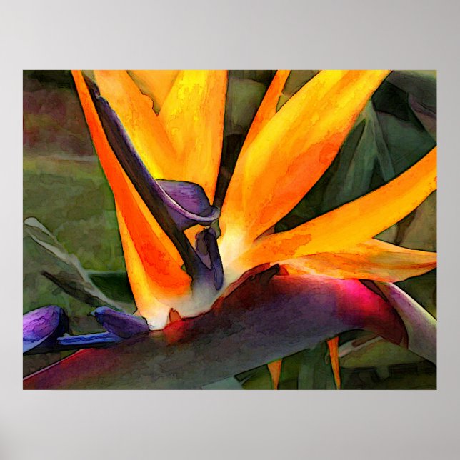Abstract Bird of Paradise Poster (Front)