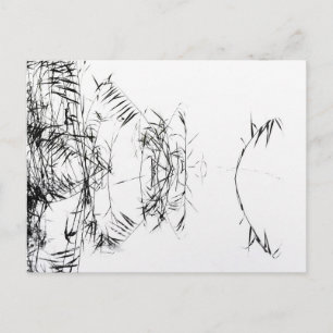 Abstract Black and White Reeds Water Reflections Postcard