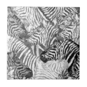 Abstract Black and White Zebra Art  Tile