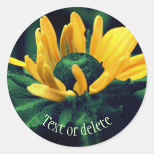 Abstract Black Eyed Susan Flower Personalised Classic Round Sticker