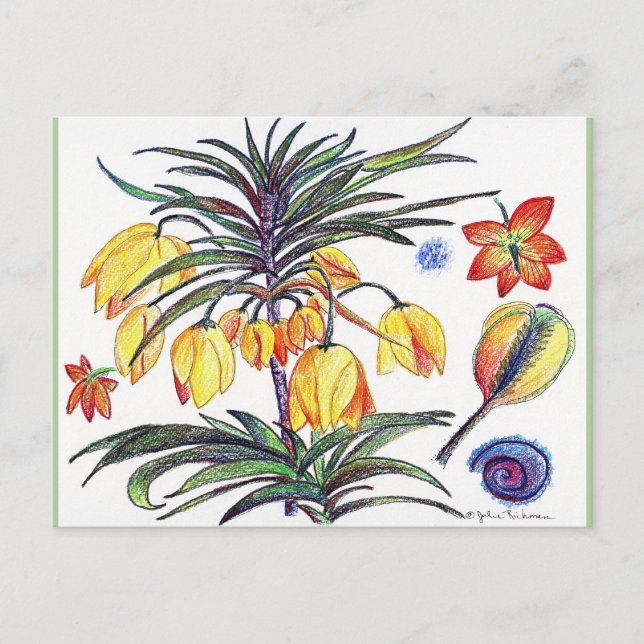 Abstract Botanical Flower drawing Post Card (Front)