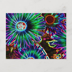 Abstract Cape Daisy postcard