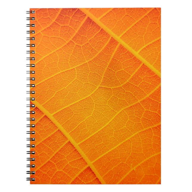 Abstract closeup of an orange and yellow leaf text notebook (Front)