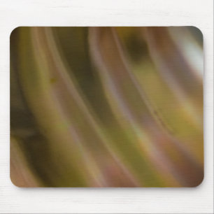 Abstract Curve Mouse Mat