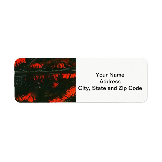 Abstract design return address label, swamp fire. (Front)