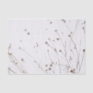 Abstract Dried Daisies Graphic Subtle White Taupe Tissue Paper