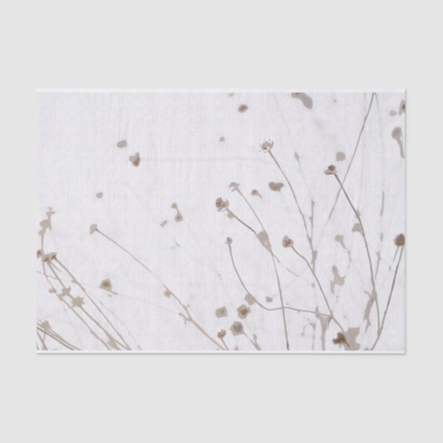 Abstract Dried Daisies Graphic Subtle White Taupe Tissue Paper (Front)
