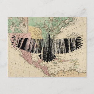 Abstract Eagle Tree Silhouettes Nature Animal Art Postcard
