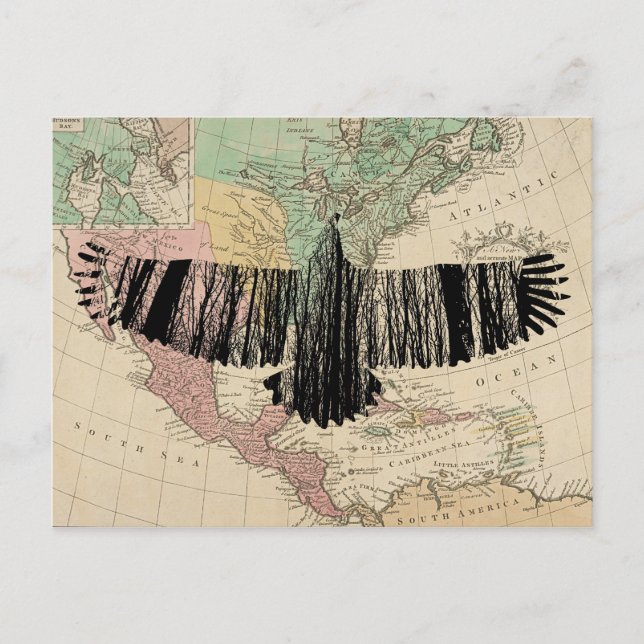 Abstract Eagle Tree Silhouettes Nature Animal Art  Postcard (Front)
